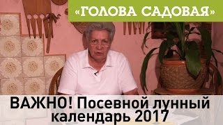 Голова садовая - ВАЖНО! Посевной лунный календарь 2017