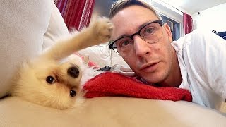 Vlogg | Vi saknar dig Jonna