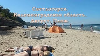 Калининградская область. Светлогорск. Август. Пляж