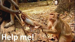 I'm not your game ! Pity baby Barbi Cry loudly angry much cos Duchess d0 bad-Blacky help scare.