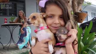 Agropecuária do Mané - Atendimento veterinário na Loja da Nova Piracicaba | 2017