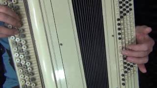 Расцвела у окошка белоснежная вишня (баян крупным планом)