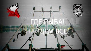 Русская рыбалка 4! РР4! RF4! Точки для Карты Клева! За наводку подарок!