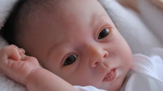 Распаковка куклы Реборн молд Adelya -  Живая Кукла Reborn baby box opening!!!!
