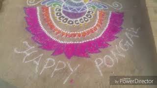 MY PONGAL CELEBRATION VLOG||எங்கள் வீட்டு பொங்கல்||how i celebrated pongal festival@shabass home