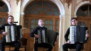 Accordion trio Resonance A. Vivaldi — J. S. Bach. Concerto in D minor GREAT ACCORDION MUSIC