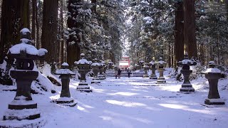 2020 雪の北口本宮冨士浅間神社(4K) Kitaguchi Hongu Fuji Sengen Shrine Covered With Snow(UHD)