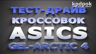 Кроссовки для зимы Asics Gel Arctic 4