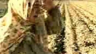 Le lancer de la patate par la mme russe ! - La fin du monde est à 7 heures - Bruno Blanchet