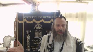 ארץ ישראל אבן מאסו הבונים - ימכור כל מה שיש לו וישא בת תלמיד חכם - זו א"י  שלח לך