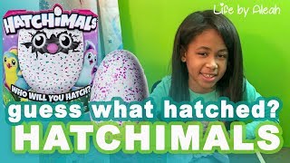 HATCHIMALS Mystery Surprise Opening | Life by Aleah