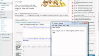 On-Page SEO Wordpress Plugin to Optimize Posts