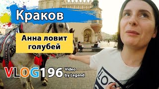 Новинки МакДональдс в Польше. Анна ловит голубей на площади в Кракове. | Глазами туриста
