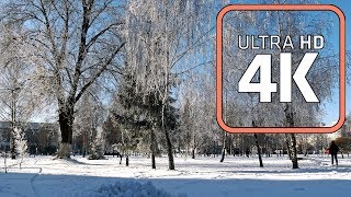 ЗИМА 4К. КРАСИВАЯ ПРИРОДА. ВСЕ В СНЕГУ. БЕЛЫМ БЕЛО. Winter 4К
