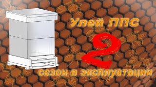 Улей ППС. "2 сезон эксплуатации.