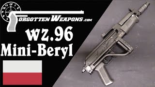 Mini-Beryl: The Carbine Version of the Polish wz.96