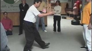 Introduction to Master Anthony Ho Nan Jie  (何南傑) and Wuji Qigong Taijiquan (Taichi)