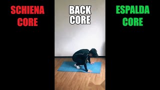 BBR29 Circuito HIIT bruciagrassi a corpo libero per rinforzare core e schiena senza attrezzi da casa