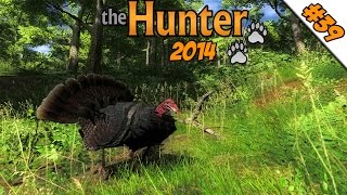 The Hunter 2014 #39 - Stille in Deutschland ★ Let's Play The Hunter 2014