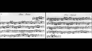 Tomaso Albinoni - Concerto for Two Oboes Op. 9,  No. 12