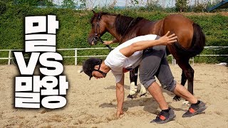 누가 더 빠를까? 말vs말왕 세기의 대결 [말왕의 도전]