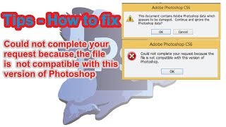 Could not complete your request because the file is not compatible with this version of Photoshop
