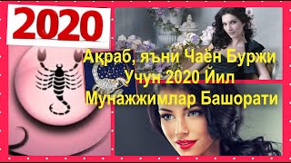 Ақраб, яъни Чаён Буржи Учун 2020 Йил Мунажжимлар Башорати