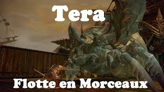 Tera - Flotte en Morceaux [Lomitall #121]