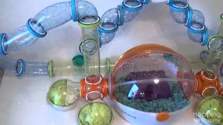 OFFICIAL "Hamster Room" Tour