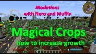 Modations - Magical Crops How to increase growth!