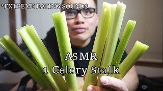 Asmr 1 STALK CELERY *EXTREME EATING SOUNDS *No Talking