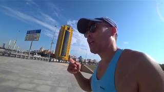 Нужно ли убирать за своей собакой на улице?