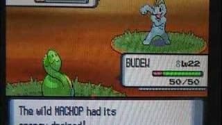 How to use the super gain xp. code on pokemon pearl
