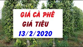 Giá cà phê giá hồ tiêu ngày 13/2/2020:Cà phê thế giới trái chiều trong nước giảm, giá tiêu đi ngang