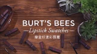 Burt's  Bees 摩登好漾彩唇膏lipstick