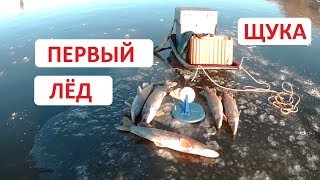 Первый лёд . Ловля щуки на жерлицы.