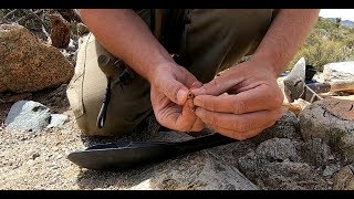 Base upgrades, gold nuggets, new mining claim