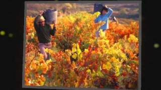 MENDOZA VENDIMIA 2010 - SOY CUYANO- KARAMELO SANTO