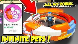 BUYING THE INFINITE PET GAMEPASS IN RPG WORLD SIMULATOR!! *40,000 Robux* (Roblox)