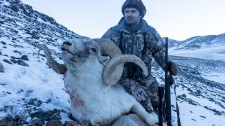 Hunting in Tajikistan Pamir Marco Polo sheep www.hunting.az
