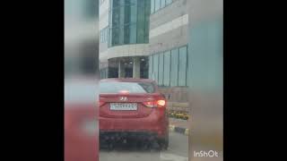 "Полил" цветы у торгового центра. Полиция ищет мужчину в Астане