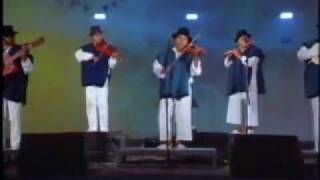 Turi Panigu - Ñanda Mañachi