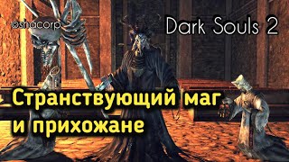 #АндрейШо
Dark Souls 2 #18 - Странствующий Маг и Прихожане (Prowling Magus and Congregation)