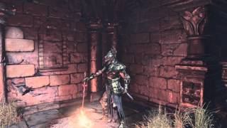 How to get the drakeblood set (Dark souls 3)