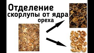 Отделение скорлупы от ядра грецкого ореха. Аспирация грецкого ореха.