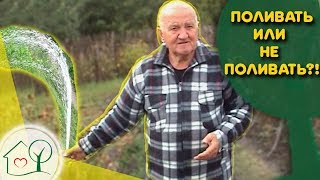 Бублик Б.А. Поливать ? или не поливать ☂ растения на огороде. Огород без хлопот