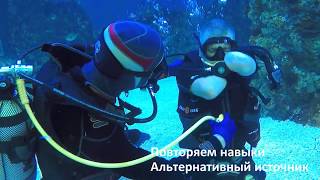 Дайвинг-вызов Дмитрия Павленко. Погружение в Океанариуме Крокус-сити, Москва