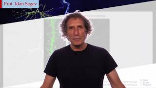 Simulation Neuroscience | EPFL on edX