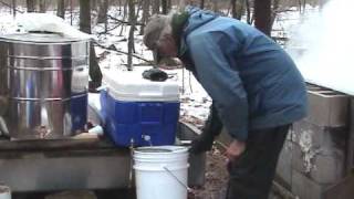 Minnesota Maple Syrup Camp