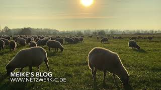 Vlog 218- Empfang Segen und sei Segen im 2020